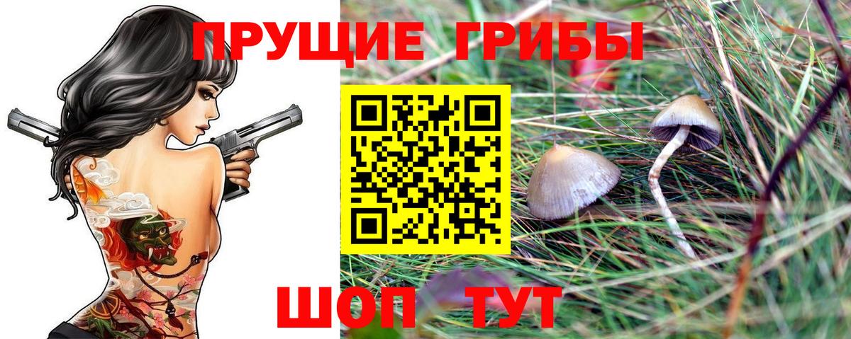 Серов  Галлюциногенные грибы мухоморы  Псилоцибиновые грибы Cubensis  Вход с VPN 